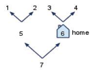 example forest paths