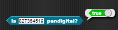 example pandigital check true for 987654321